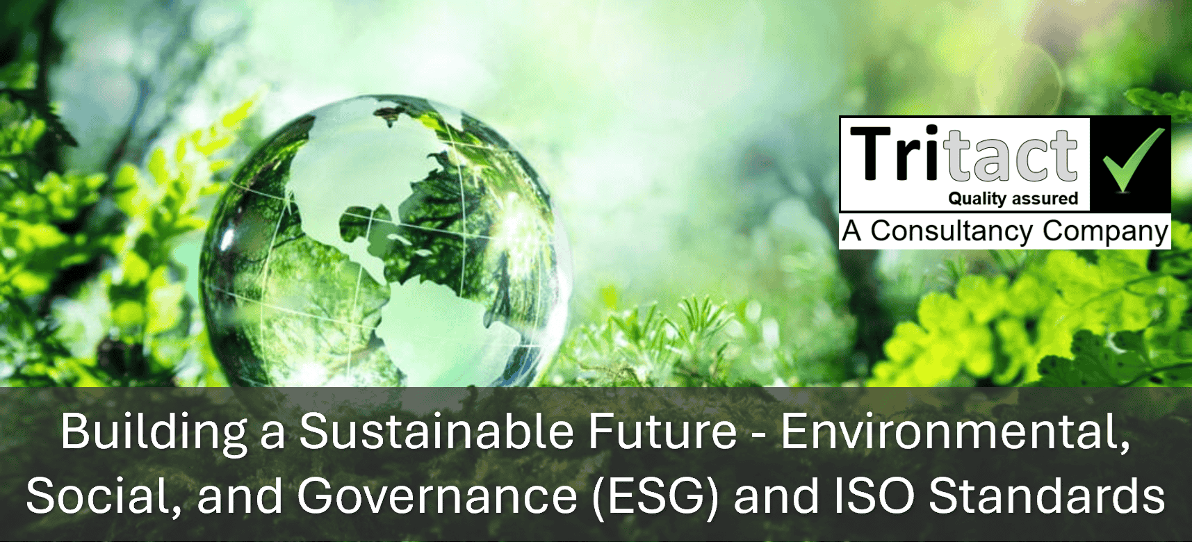Building a Sustainable Future - Environmental, Social, and Governance (ESG) and ISO Standard