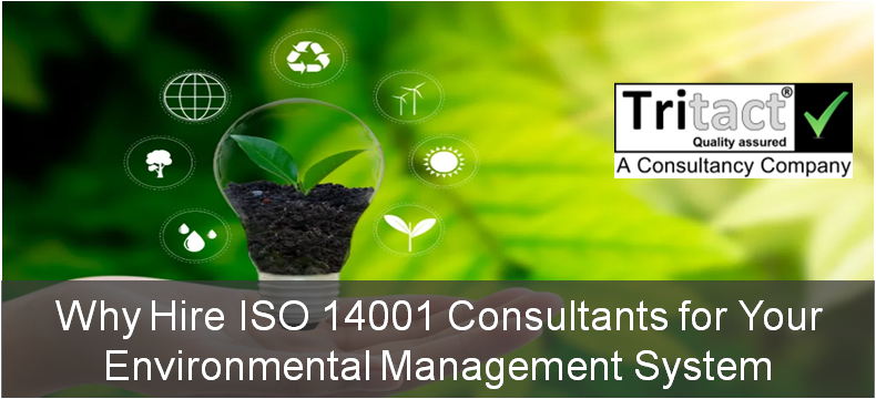 Why Hire ISO 14001 Consultants for Your Environmental Management System